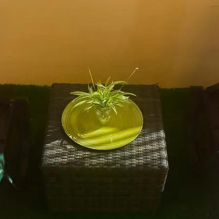 Casa Tranquila 아파트 *